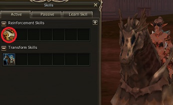mountskill2.jpg