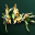 Circlet of Earthquake (60-day) 