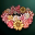 Coronet 30-day