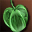 Sprigant's Fruit 