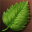 Event - Leaf of Appreciation 