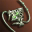 Unidentified Seraph Necklace Gem 