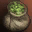 Beer Ingredient: Hops Event