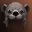 Black Bear Hat 7-day