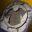 Ninja Top Appearance Stone 