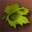 1x Trace of Kimerian's Cavern