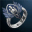 Unidentified Twilight Ring 