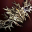 Legacy Sagittarius Bow 