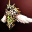 Unidentified Immortal Sigil Robe